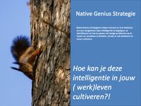 Native genius Strategie